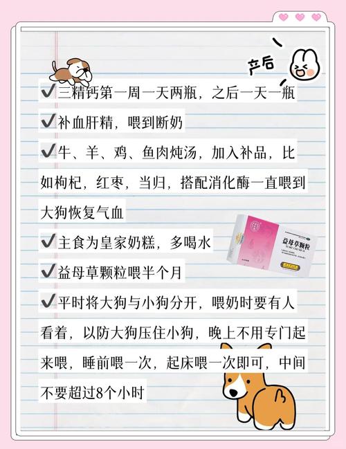 狗狗孕期护理注意事项