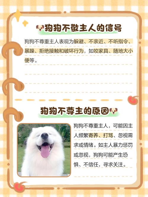 狗不喜欢主人的五个表现