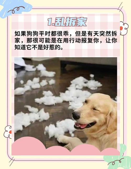 狗狗讨厌“你”的表现!