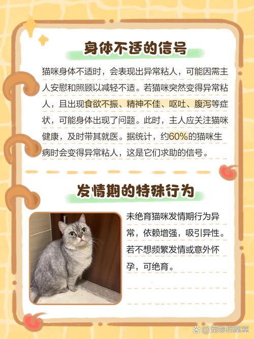 为什么猫咪大了就不粘人了?