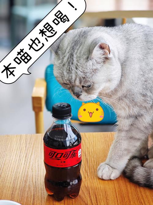 猫咪能喝可乐吗?为什么?