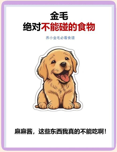 金毛能吃和不能吃的食物