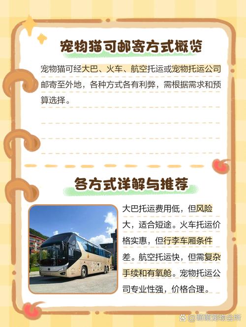 猫咪怎么托运到外地