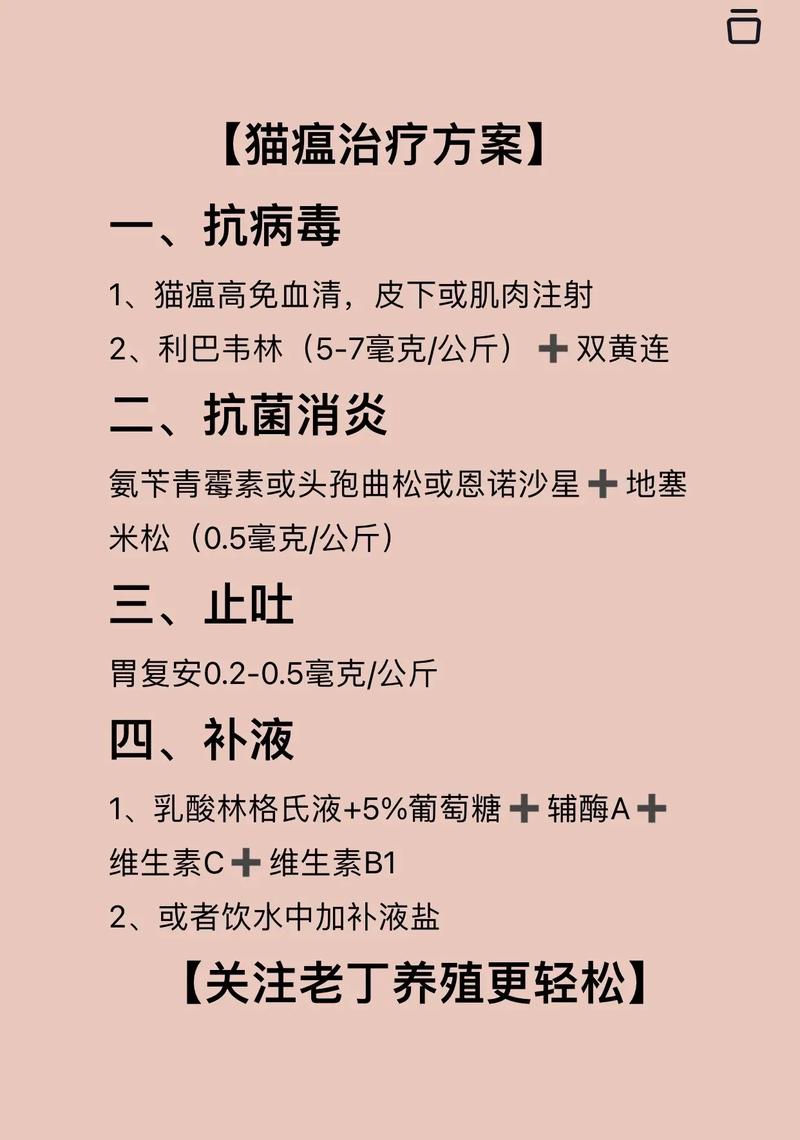 怎么给猫咪喂药