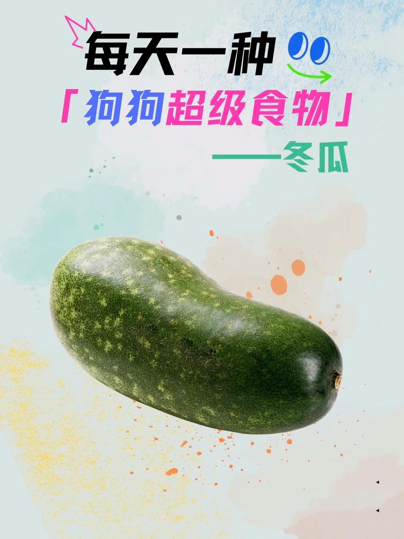 狗狗可以吃冬瓜吗(狗狗吃冬瓜有什么好处)