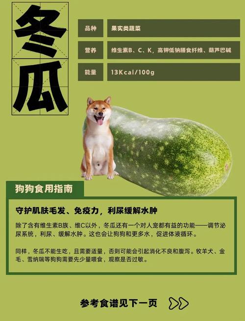 狗狗可以吃冬瓜吗