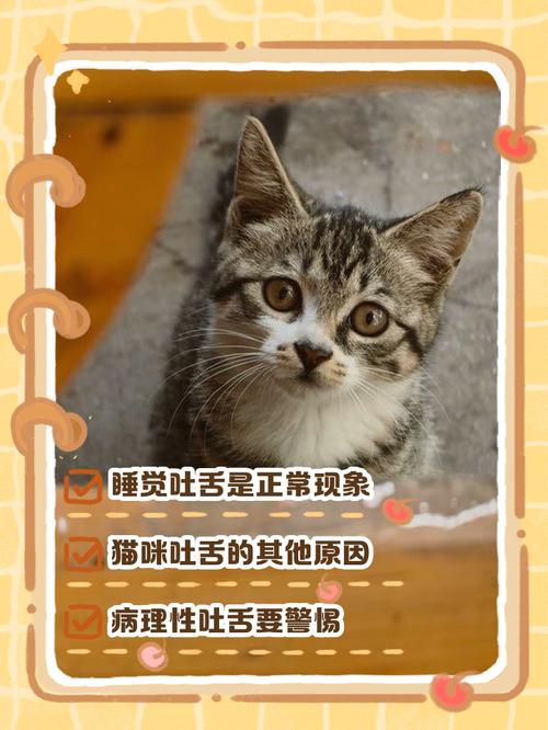 猫咪咬舌头什么意思