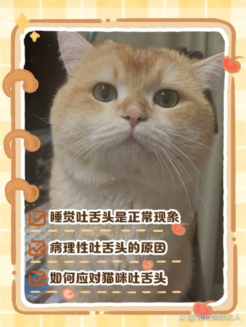 猫咪为什么自己咬舌头睡觉