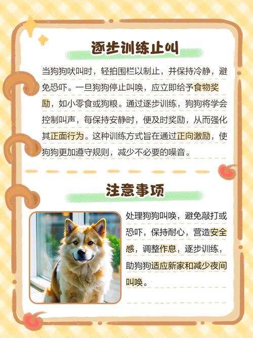 新狗狗到家晚上一直叫怎么办