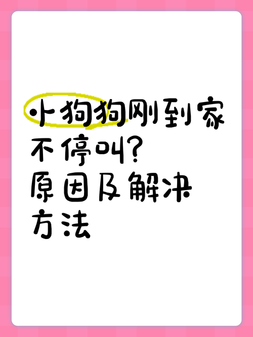 为什么幼犬刚到家总是叫个不停