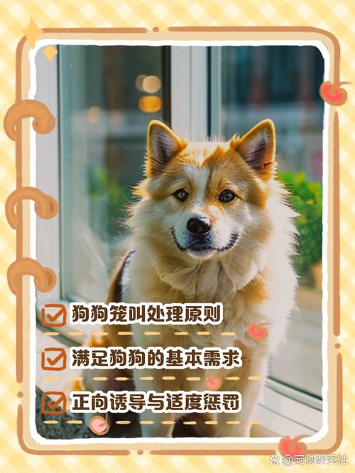 刚到家的小狗关在笼子里一直叫怎么办