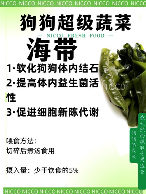 海带怎么处理才能喂给狗子吃?