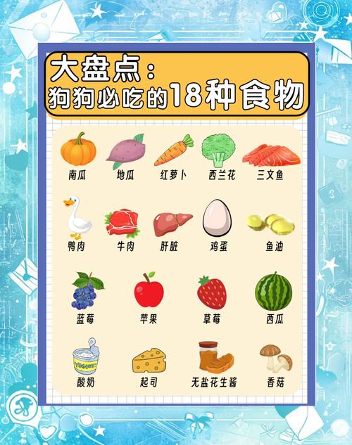 狗狗吃哪些食物容易促进消化呢?