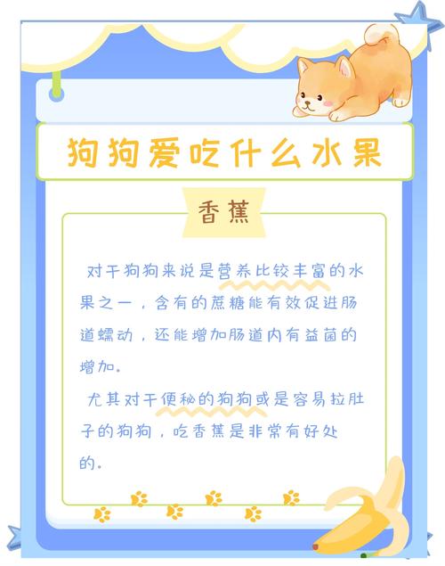 狗狗能吃橘子吗?