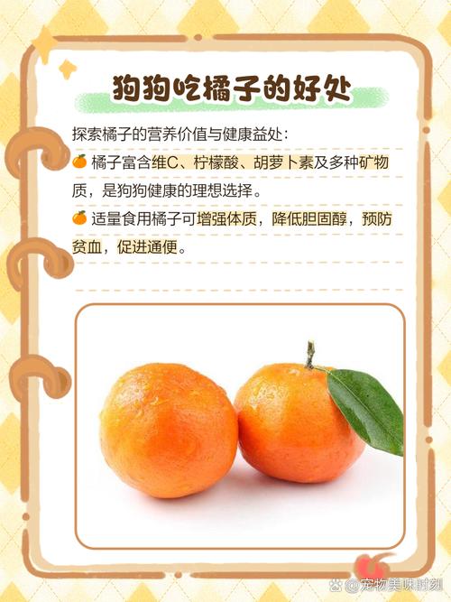 狗狗为什么不能吃柑橘类