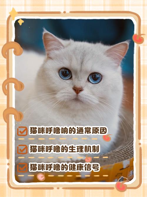 猫咪的喉咙总咕噜咕噜响怎么回事