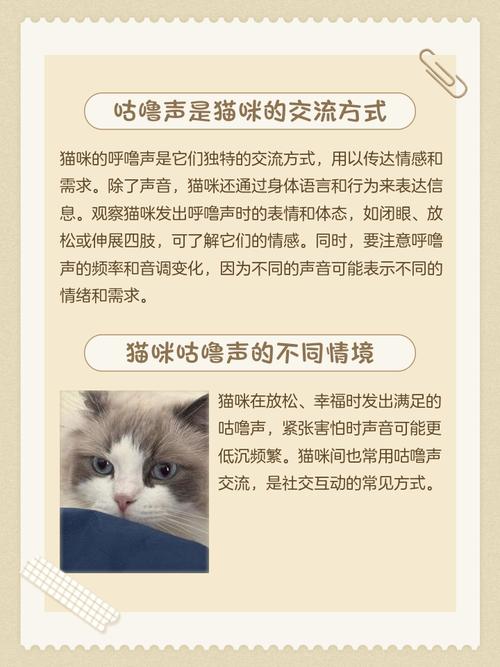 小猫发出咕噜咕噜的声音表示什么