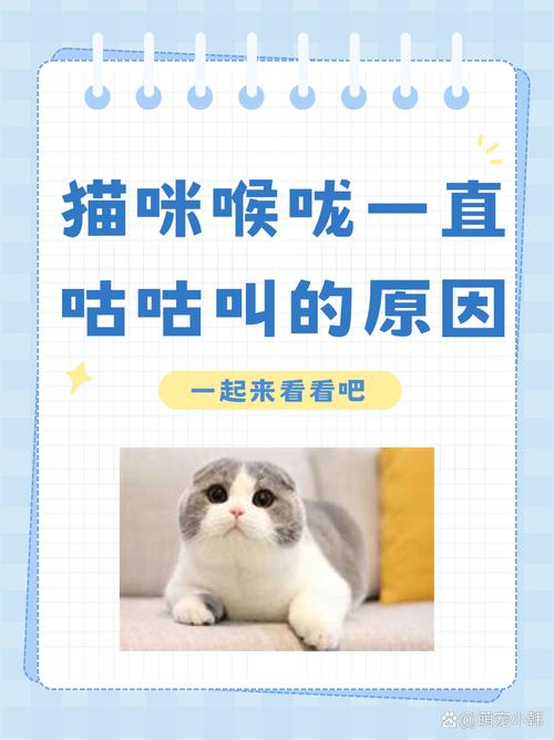 猫咪为什么会发出咕噜咕噜的声音