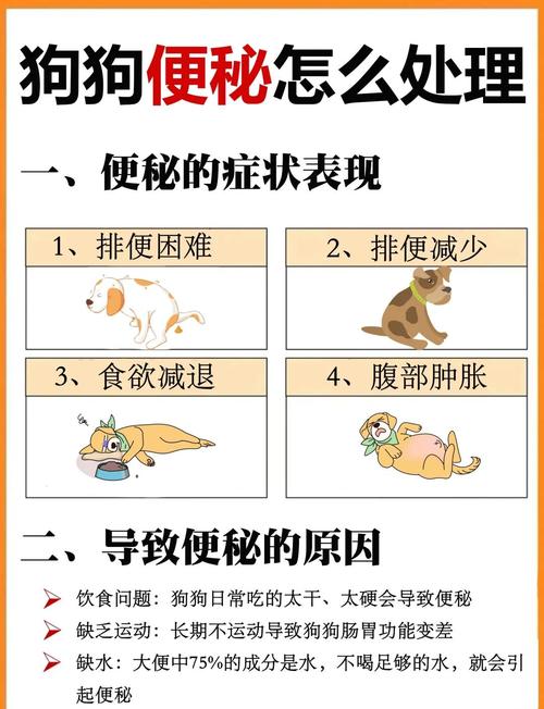 怎么能让狗狗快速排便