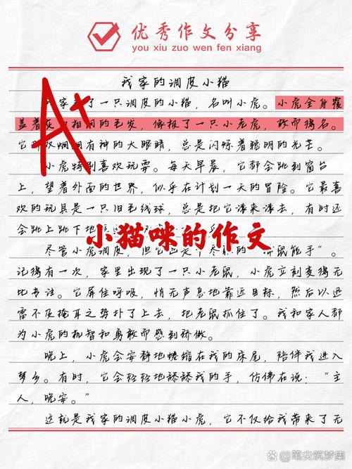 可爱的小猫一年级作文