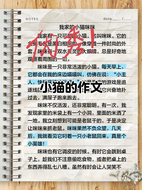 你见过哪些可爱而且颜值很高的小猫咪?