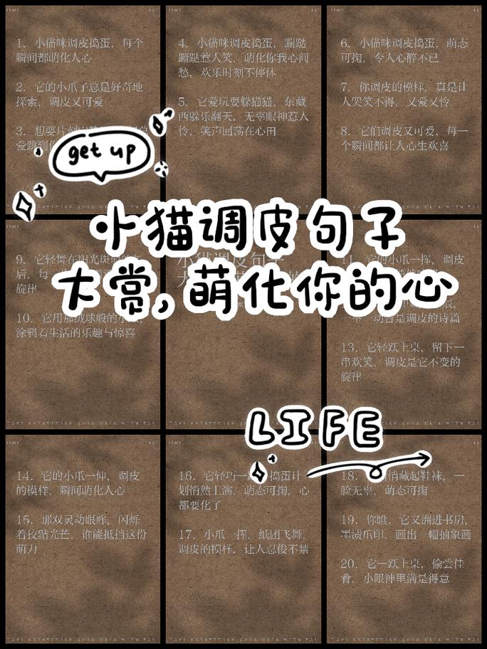 可爱的小猫四年级作文300字