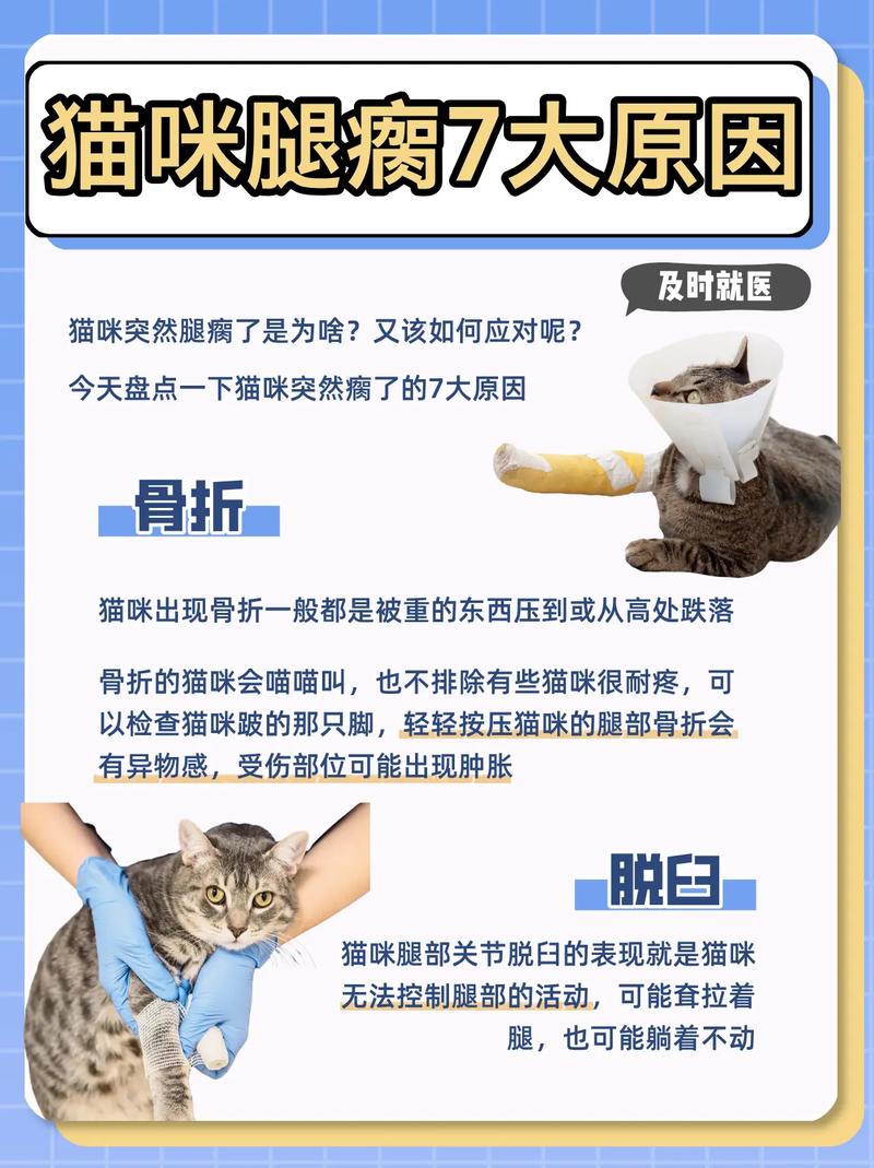 猫的腿突然瘸了会自己恢复吗