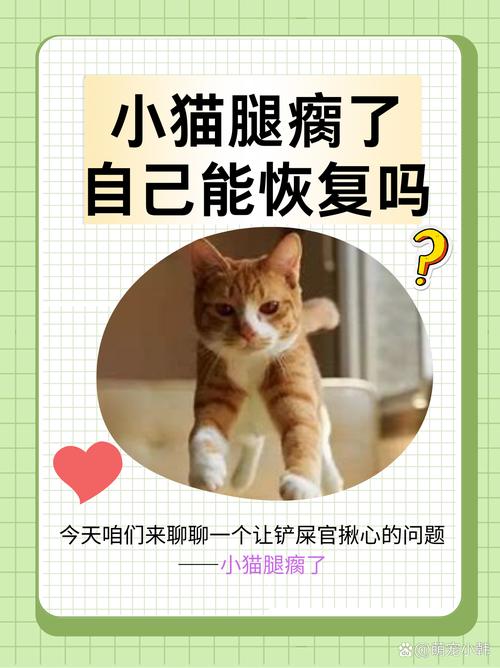 猫受伤了会自愈吗
