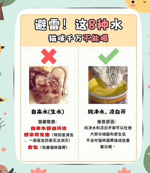 猫咪喜欢喝自来水怎么办