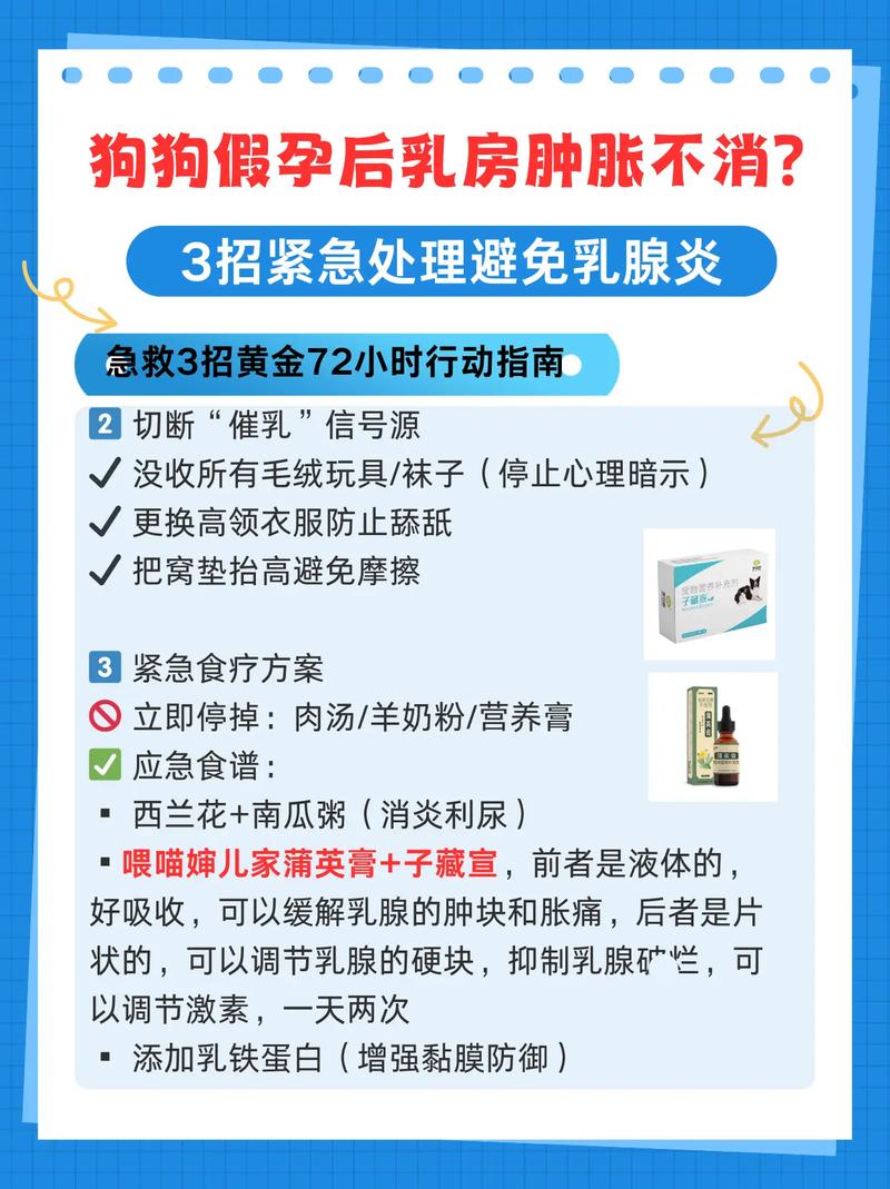 狗狗乳腺炎的症状及处理方法