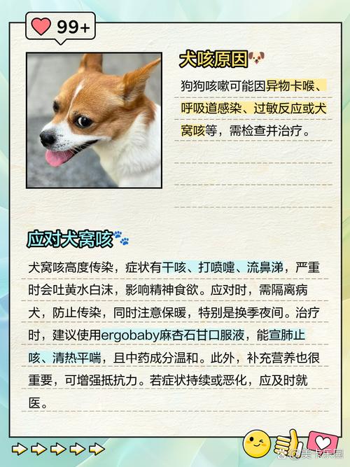 狗狗卡卡的咳嗽怎么办