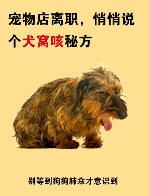 一些狗狗激烈运动时会咳嗽,这是怎么一回事?