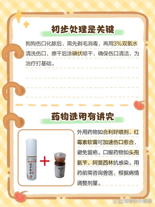 狗狗术后伤口一直渗液怎么办