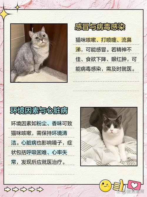 猫咪变声期嗓子会有哪些症状?