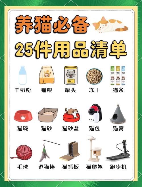 小猫外出用带猫砂吗