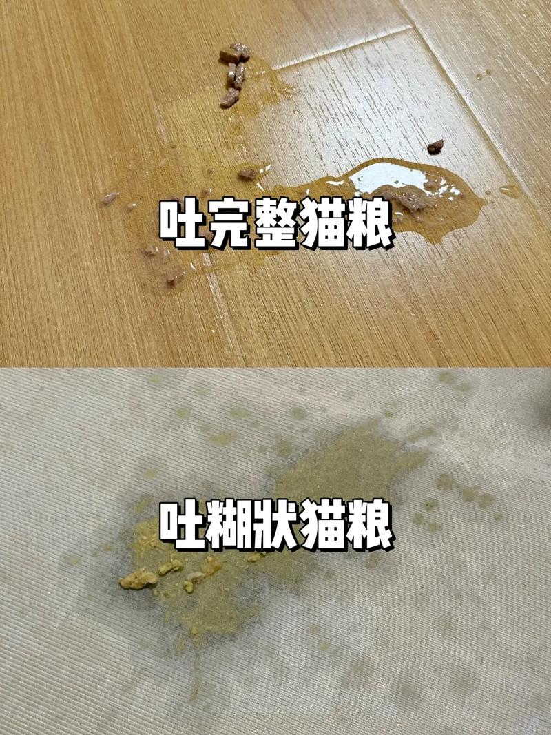 猫干呕一抽一抽的吐白沫是怎么回事?