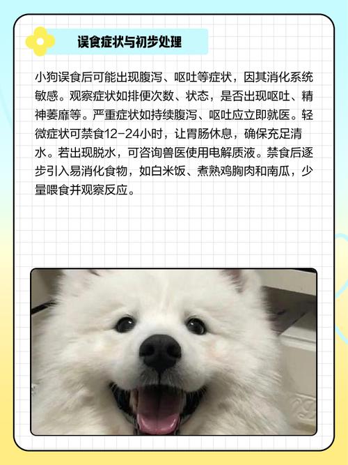 狗狗吃整个桃子核吞下去怎么办