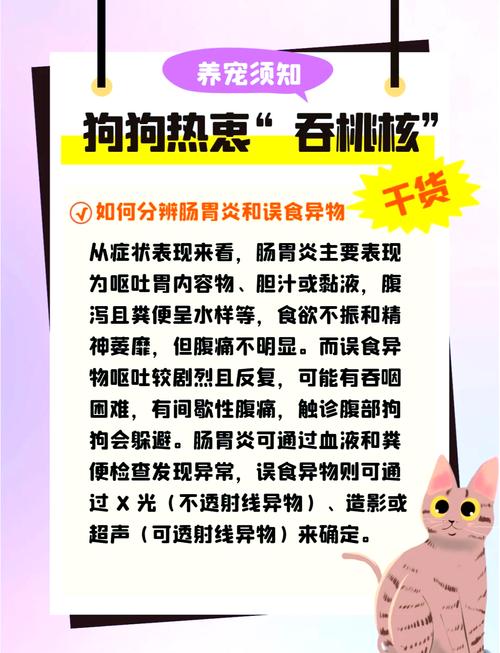 狗狗吃了桃子核怎么办