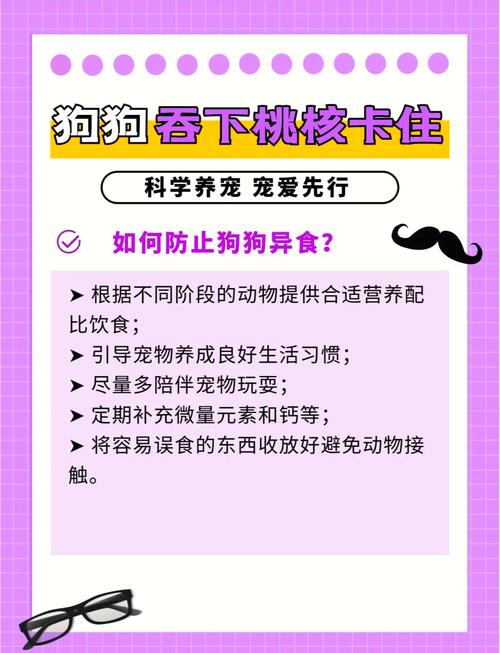 我家狗狗可能吃了一个桃子核,从昨天开始就不吃不喝,怎么办,它自己会拉...
