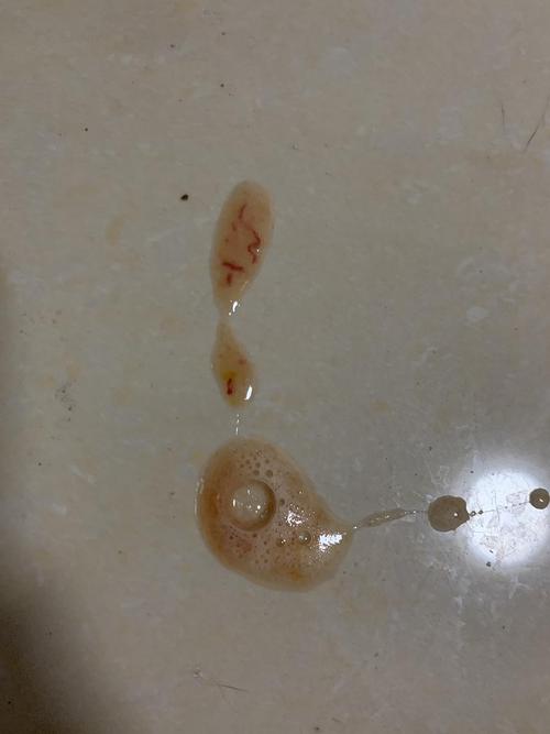 猫咪呕吐带血丝