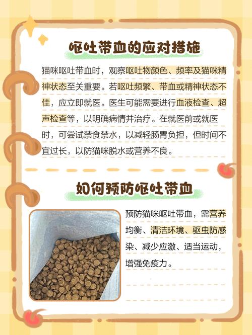 猫咪吐血是否要死了