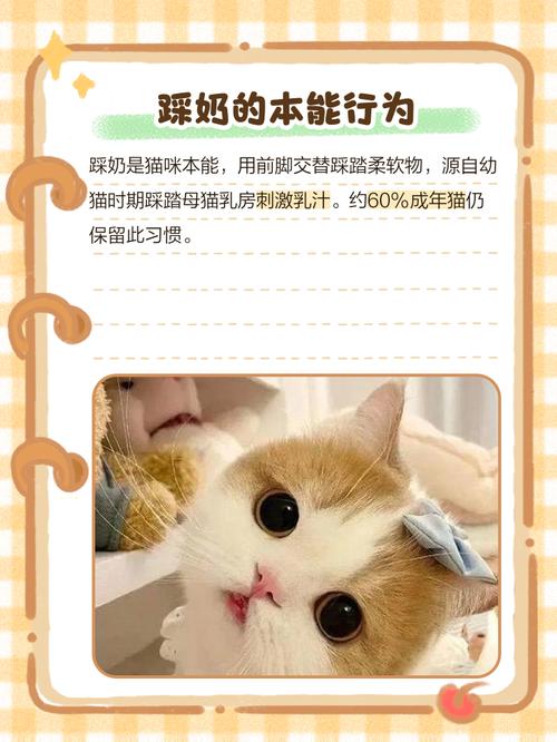 成年猫咪总是有踩奶的动作是为什么?