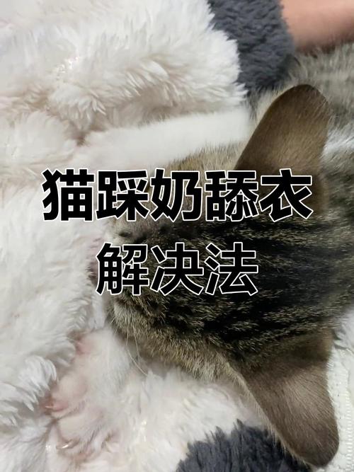 养猫久了才明白,为什么猫咪会经常踩奶?