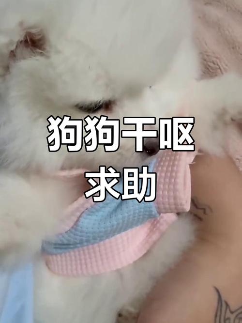 狗喉咙里像卡了东西一样怎么解决