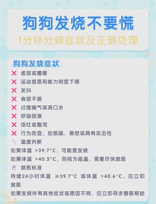 如何判断狗狗是否有发烧症状