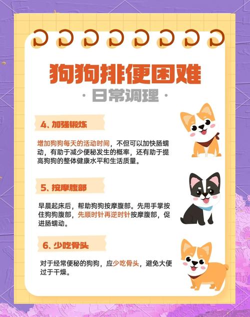 狗狗排便困难怎么办