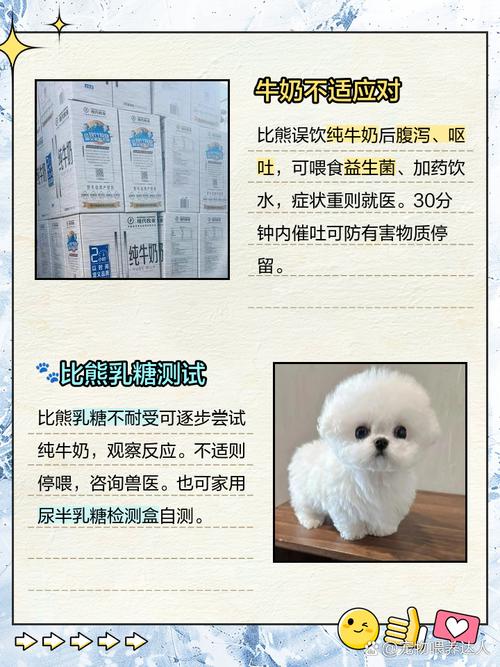 狗狗喝了牛奶怎么办