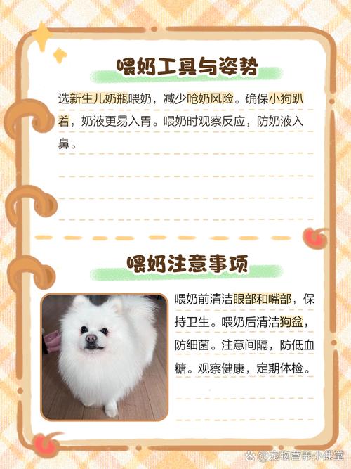 狗狗喝了纯牛奶怎么办