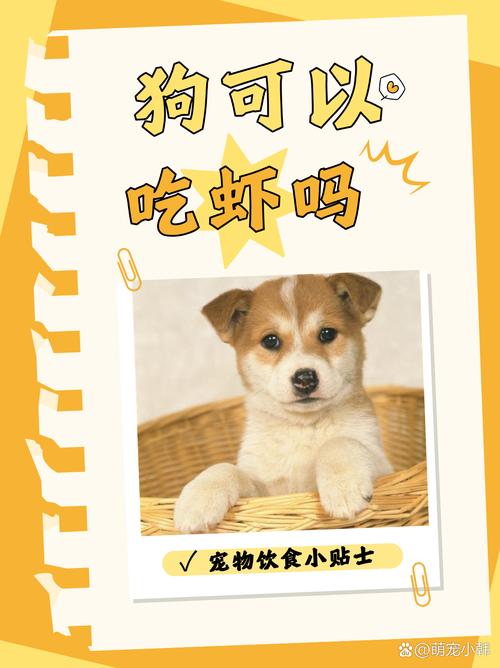 狗狗可以吃煮熟的虾仁吗