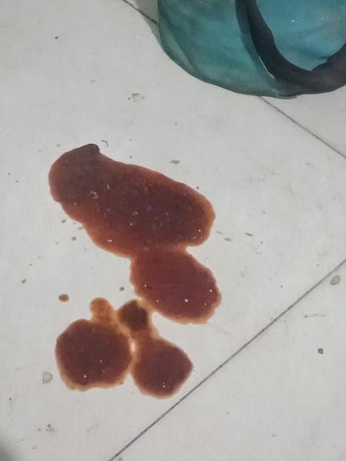 狗狗拉了一滩血水的原因